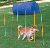 Agility Trainer