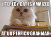 literacy cat