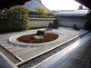 a Zen garden