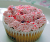 raspberry cream cupcake ♥