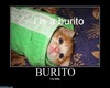 pet burrito