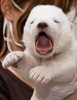 yawnzz~~