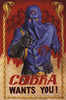 Cobra Recruitment