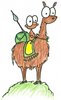  Awesome Fun Llama Ride