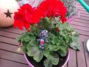 Missy Snapdragon IV